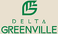 Delta Greenville Thane West
